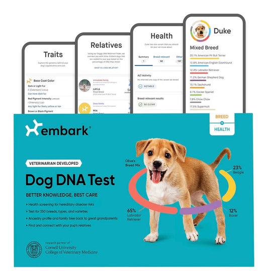 Embark Breed & Health Dog DNA Test – 400+ Breeds, 270+ Health Risks
Only dog DNA test with allergy risk scores. Coat traits, canine relative finder, genetic cancer risk score included