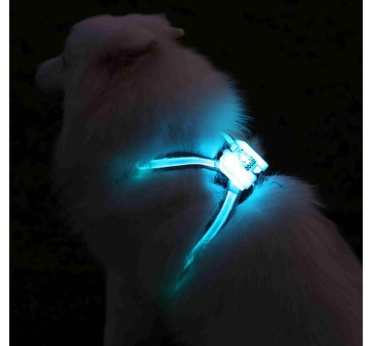 Night-Safe LED Dog Harness | 15 Modes & EU/US Patented Glow | 30% Brighter for Urban Dogs | German-Designed Breathable Mesh (Size Large)