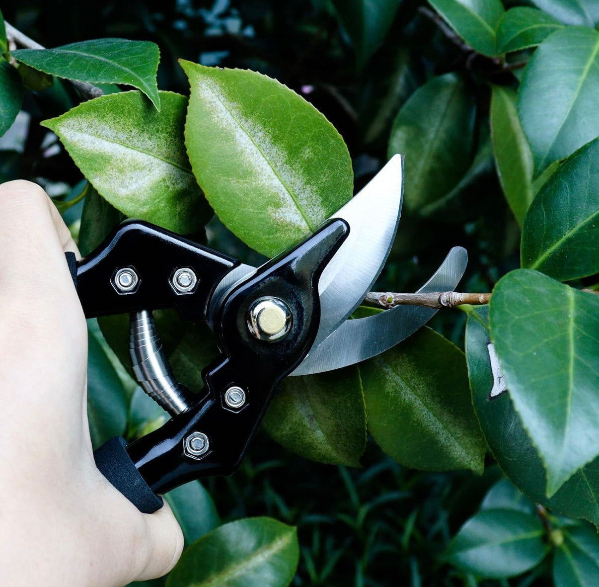 Bypass Pruning Shears Garden Clippers, Gardening Scissors with Sharp, Rust Resistant Steel Blade
